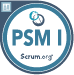 Badge PSM I